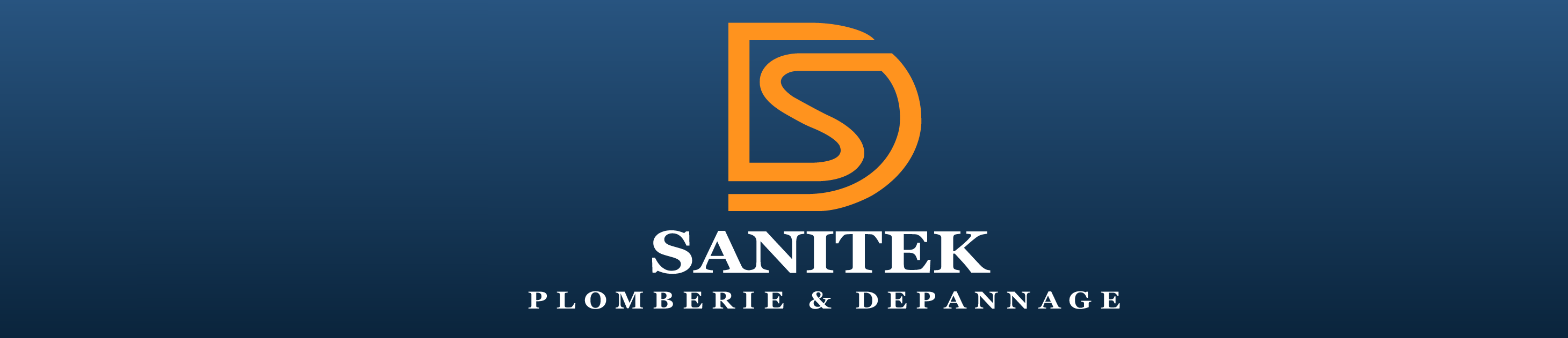 ds-sanitek-logo